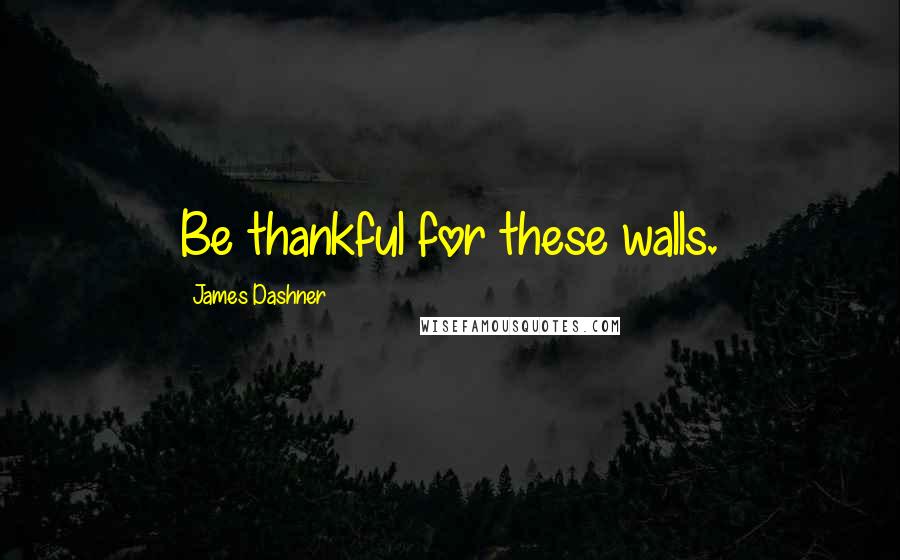 James Dashner Quotes: Be thankful for these walls.