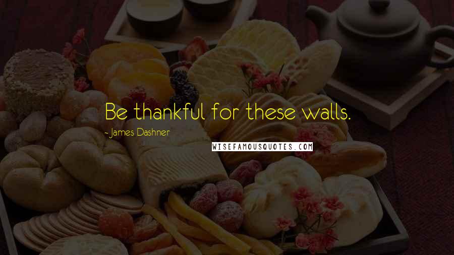 James Dashner Quotes: Be thankful for these walls.