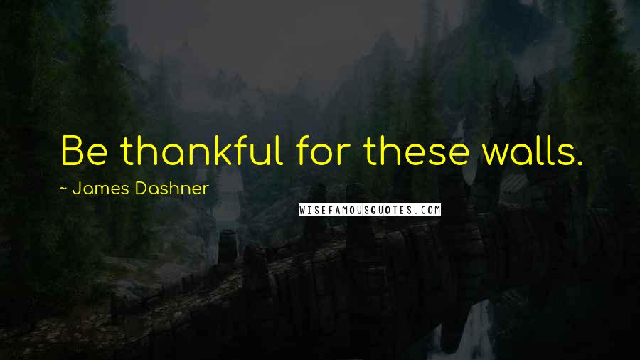 James Dashner Quotes: Be thankful for these walls.