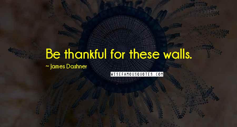James Dashner Quotes: Be thankful for these walls.
