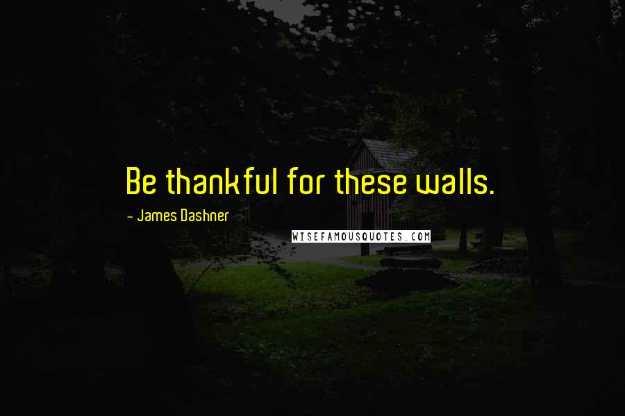 James Dashner Quotes: Be thankful for these walls.