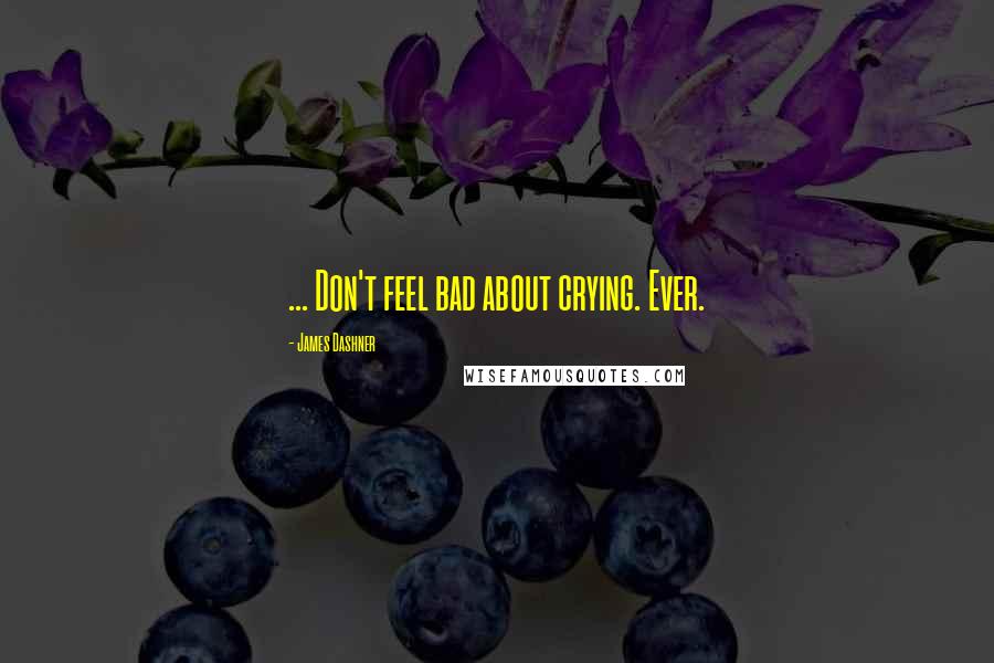James Dashner Quotes: ... Don't feel bad about crying. Ever.