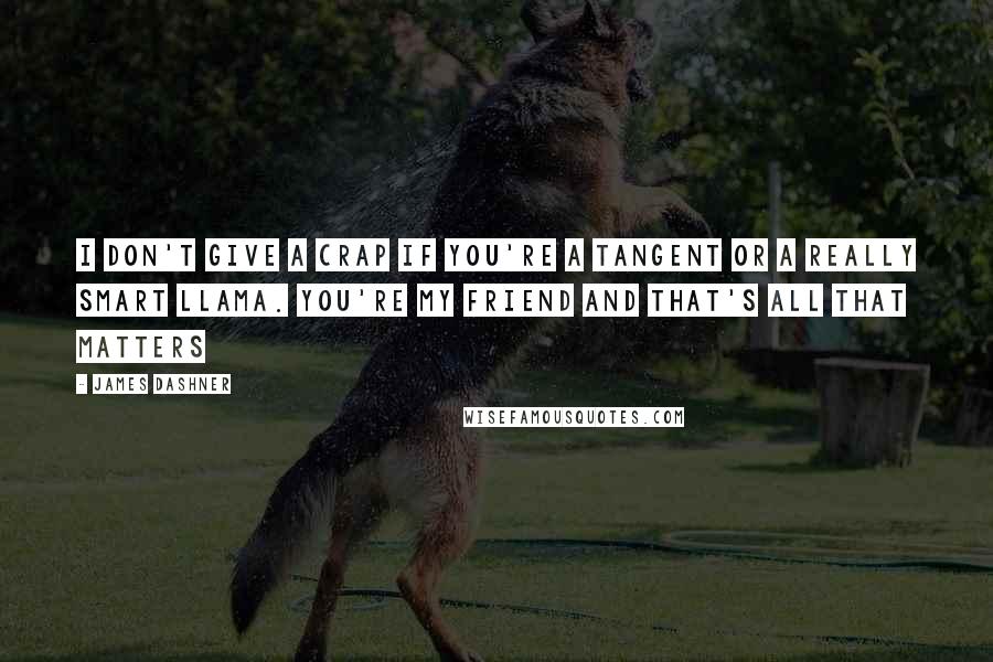 James Dashner Quotes: I don't give a crap if you're a Tangent or a really smart llama. You're my friend and that's all that matters