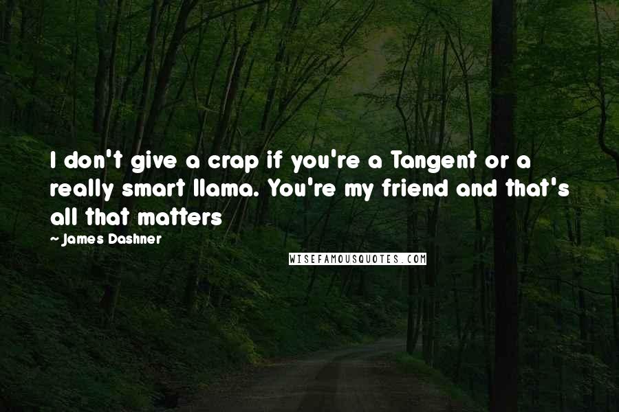 James Dashner Quotes: I don't give a crap if you're a Tangent or a really smart llama. You're my friend and that's all that matters