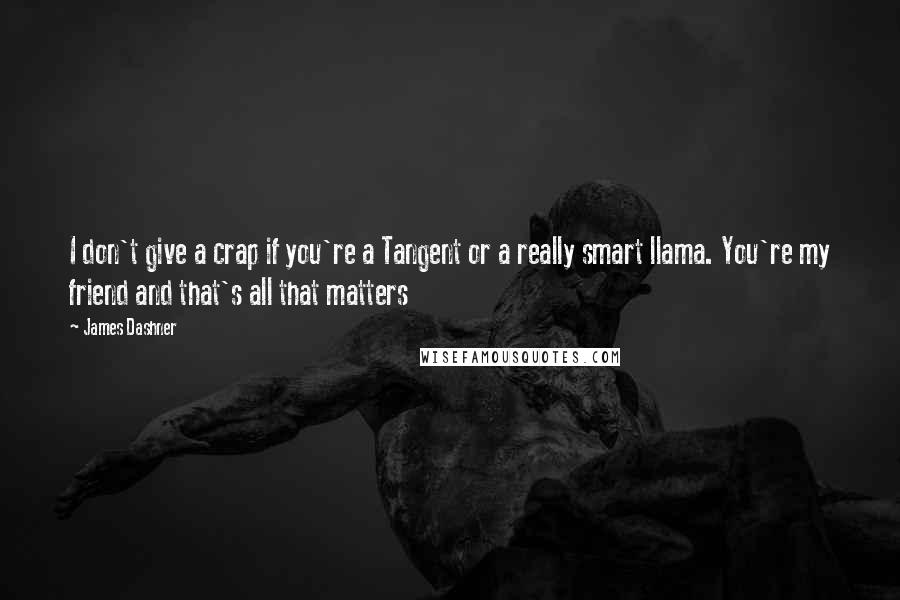 James Dashner Quotes: I don't give a crap if you're a Tangent or a really smart llama. You're my friend and that's all that matters