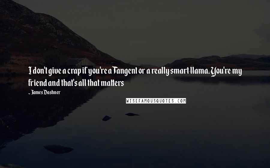 James Dashner Quotes: I don't give a crap if you're a Tangent or a really smart llama. You're my friend and that's all that matters