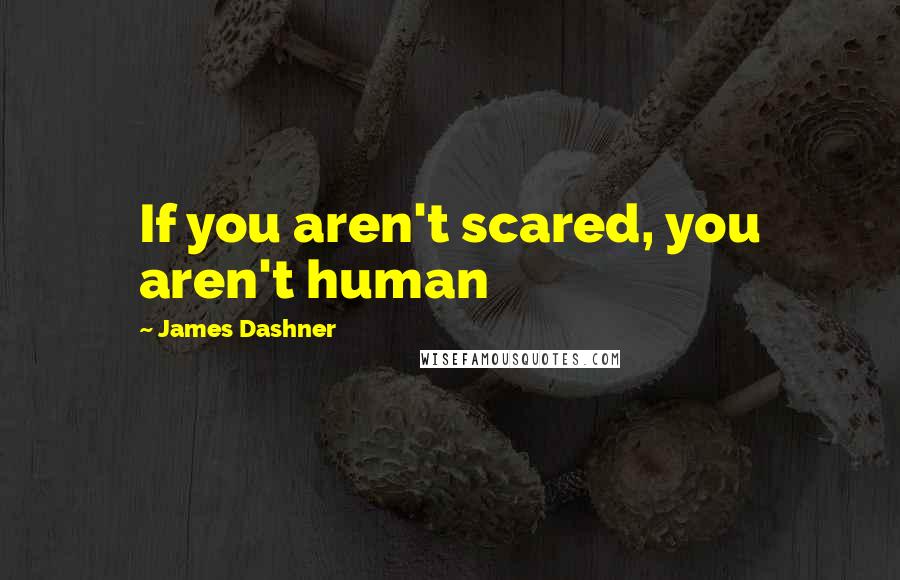 James Dashner Quotes: If you aren't scared, you aren't human