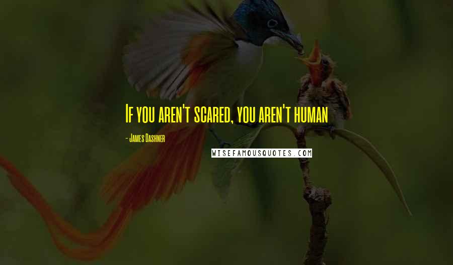James Dashner Quotes: If you aren't scared, you aren't human