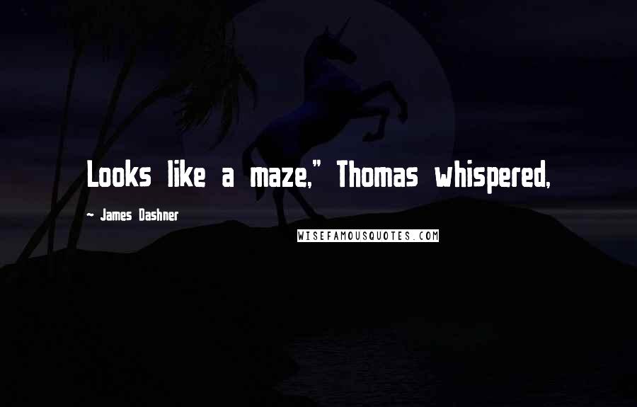 James Dashner Quotes: Looks like a maze," Thomas whispered,