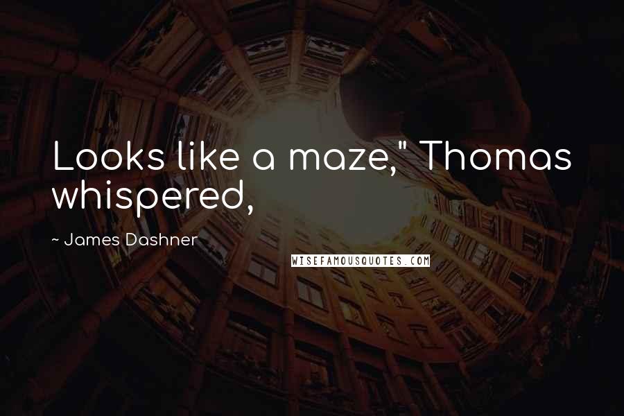 James Dashner Quotes: Looks like a maze," Thomas whispered,