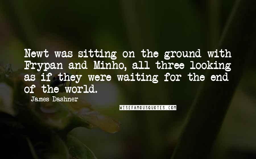 James Dashner Quotes: Newt was sitting on the ground with Frypan and Minho, all three looking as if they were waiting for the end of the world.