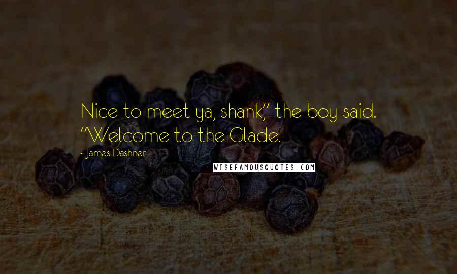 James Dashner Quotes: Nice to meet ya, shank," the boy said. "Welcome to the Glade.