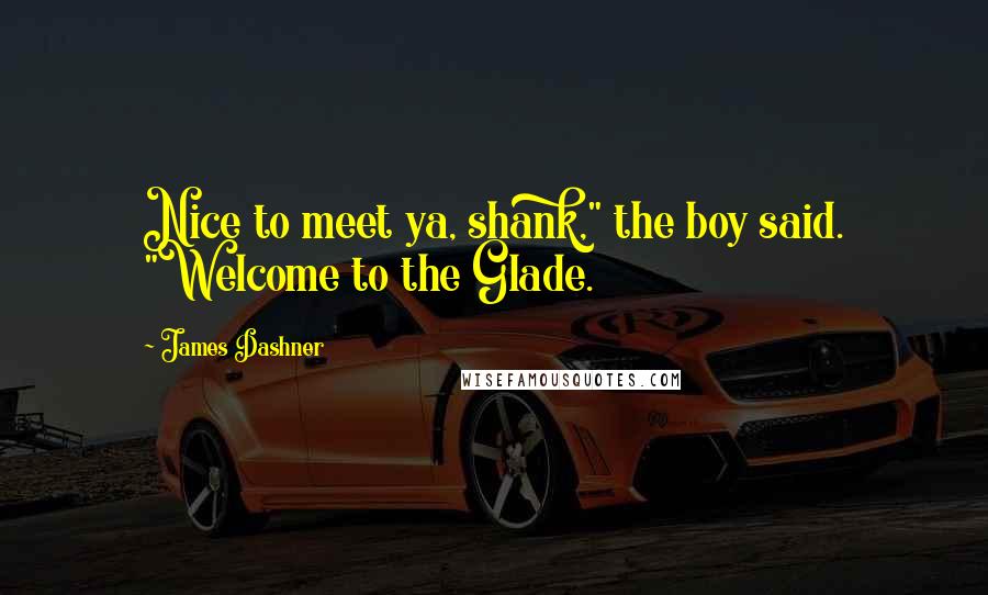 James Dashner Quotes: Nice to meet ya, shank," the boy said. "Welcome to the Glade.