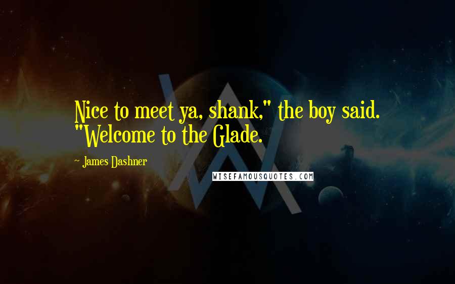 James Dashner Quotes: Nice to meet ya, shank," the boy said. "Welcome to the Glade.