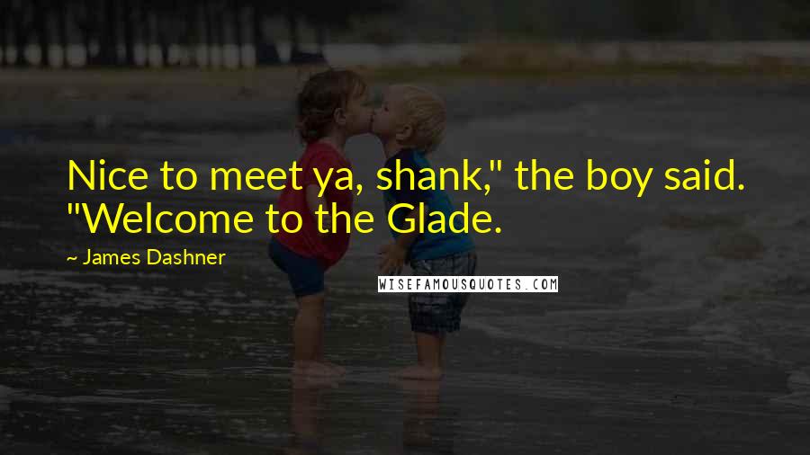 James Dashner Quotes: Nice to meet ya, shank," the boy said. "Welcome to the Glade.