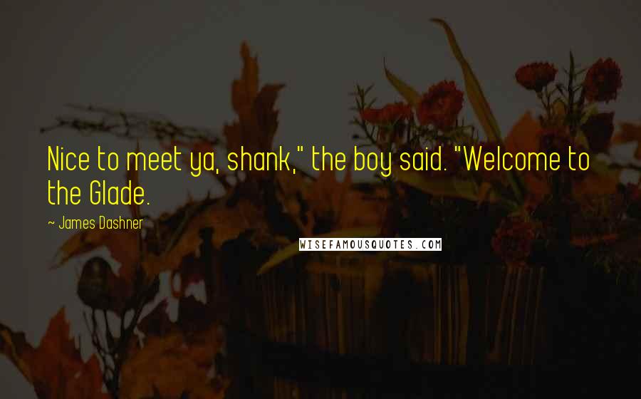 James Dashner Quotes: Nice to meet ya, shank," the boy said. "Welcome to the Glade.