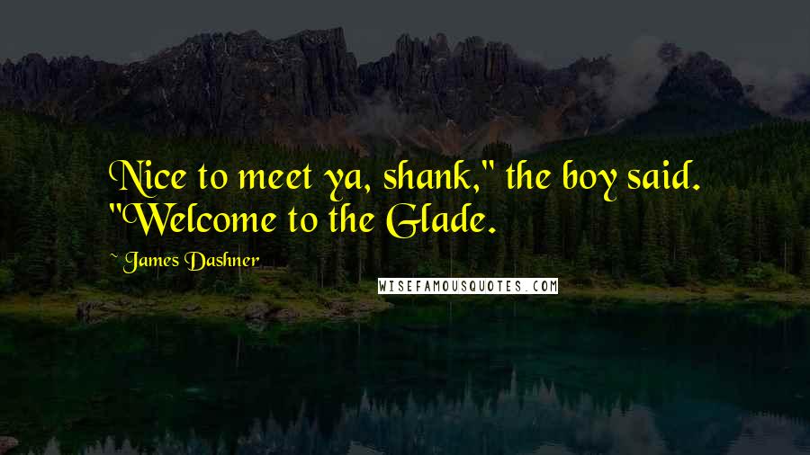 James Dashner Quotes: Nice to meet ya, shank," the boy said. "Welcome to the Glade.