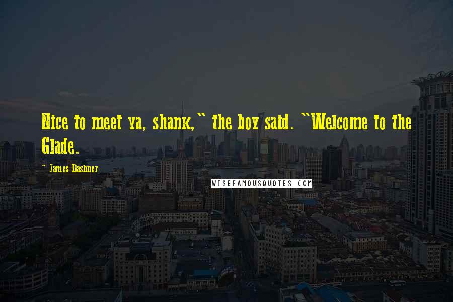 James Dashner Quotes: Nice to meet ya, shank," the boy said. "Welcome to the Glade.