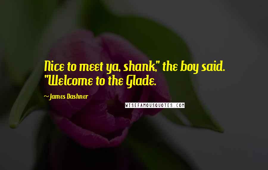 James Dashner Quotes: Nice to meet ya, shank," the boy said. "Welcome to the Glade.