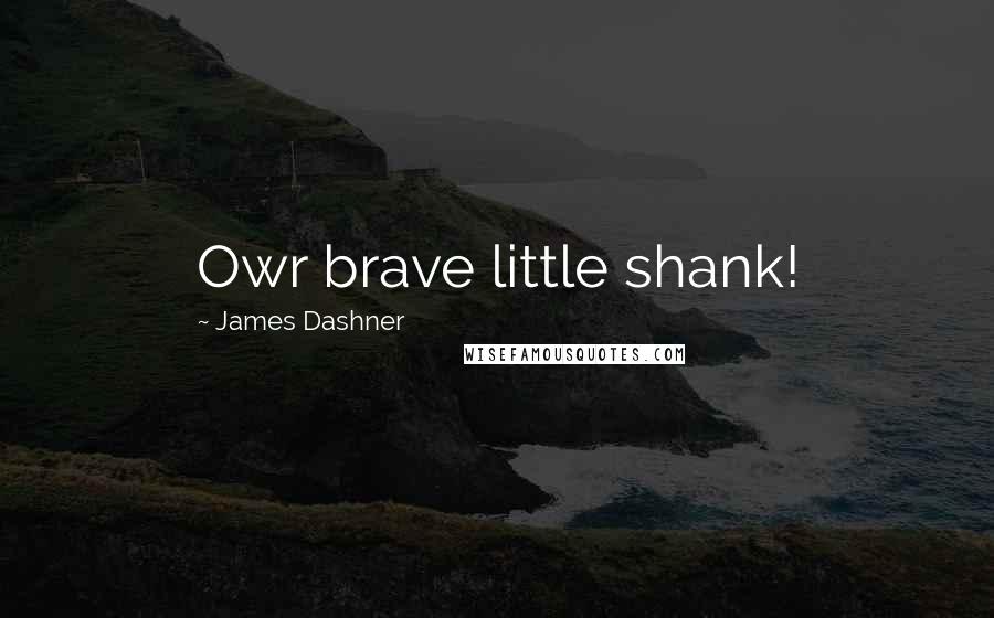 James Dashner Quotes: Owr brave little shank!