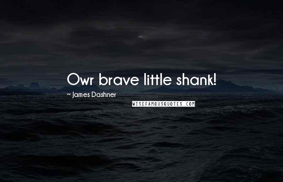 James Dashner Quotes: Owr brave little shank!