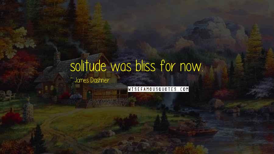 James Dashner Quotes: solitude was bliss for now.