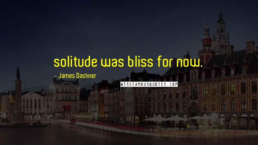 James Dashner Quotes: solitude was bliss for now.