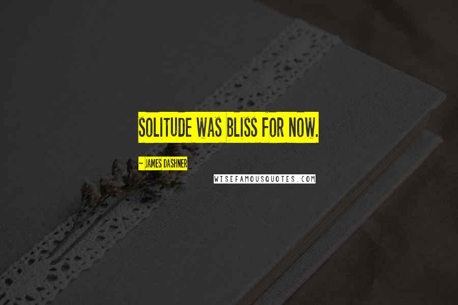 James Dashner Quotes: solitude was bliss for now.