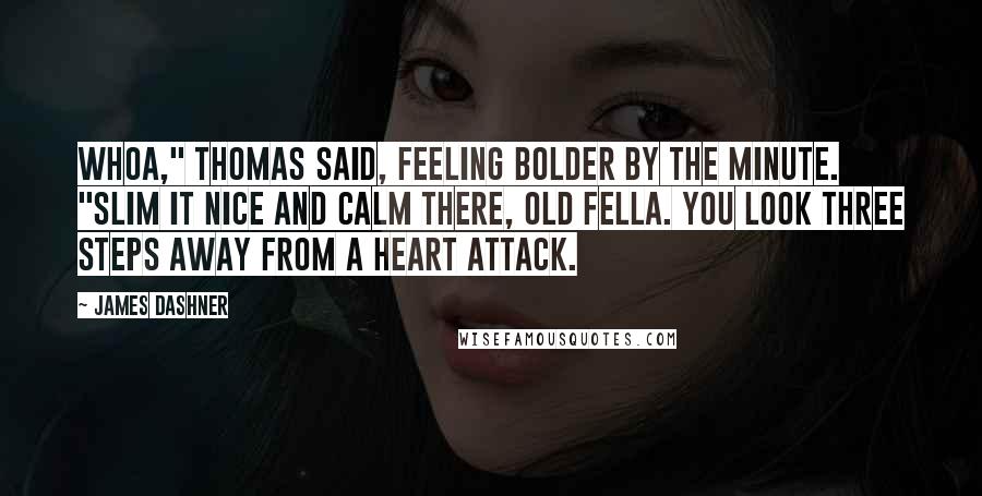 James Dashner Quotes: Whoa," Thomas said, feeling bolder by the minute. "Slim it nice and calm there, old fella. You look three steps away from a heart attack.