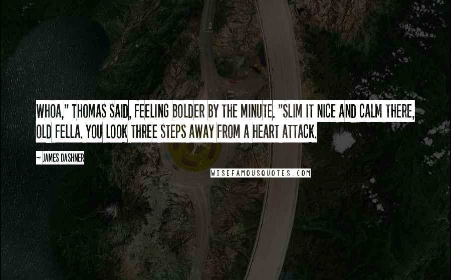 James Dashner Quotes: Whoa," Thomas said, feeling bolder by the minute. "Slim it nice and calm there, old fella. You look three steps away from a heart attack.