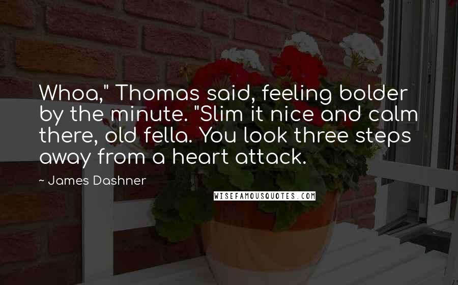 James Dashner Quotes: Whoa," Thomas said, feeling bolder by the minute. "Slim it nice and calm there, old fella. You look three steps away from a heart attack.