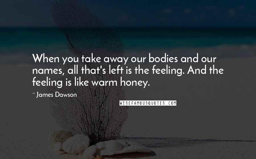 James Dawson Quotes: When you take away our bodies and our names, all that's left is the feeling. And the feeling is like warm honey.