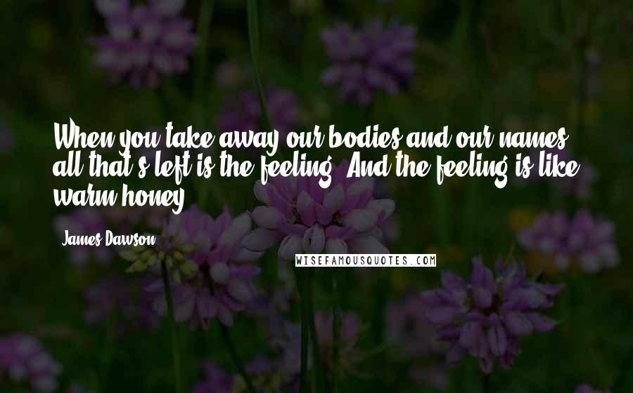 James Dawson Quotes: When you take away our bodies and our names, all that's left is the feeling. And the feeling is like warm honey.