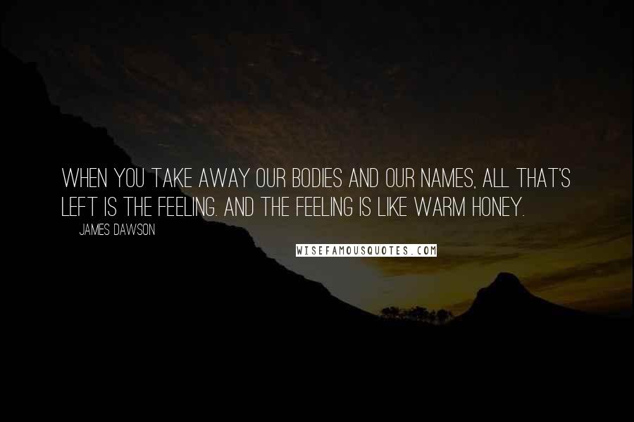 James Dawson Quotes: When you take away our bodies and our names, all that's left is the feeling. And the feeling is like warm honey.