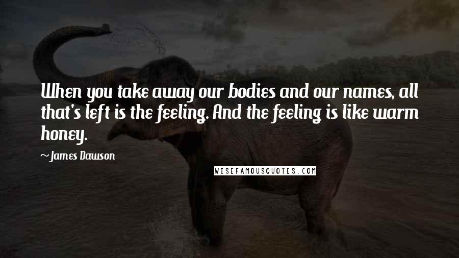 James Dawson Quotes: When you take away our bodies and our names, all that's left is the feeling. And the feeling is like warm honey.