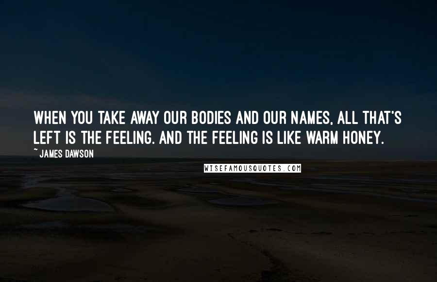 James Dawson Quotes: When you take away our bodies and our names, all that's left is the feeling. And the feeling is like warm honey.