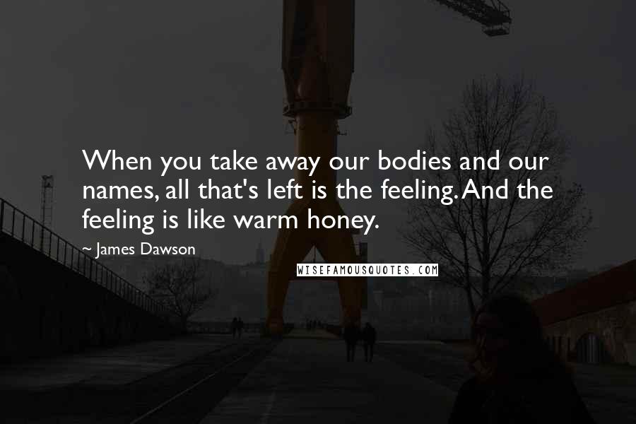 James Dawson Quotes: When you take away our bodies and our names, all that's left is the feeling. And the feeling is like warm honey.