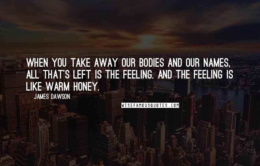 James Dawson Quotes: When you take away our bodies and our names, all that's left is the feeling. And the feeling is like warm honey.