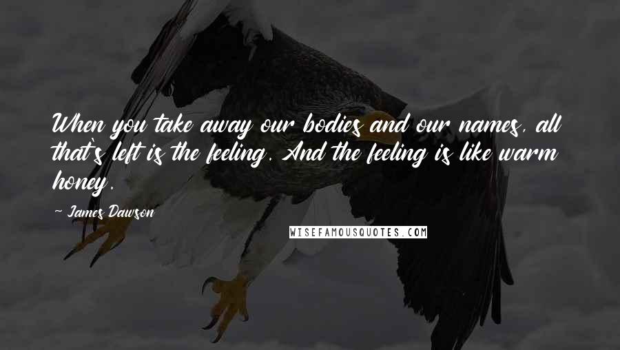 James Dawson Quotes: When you take away our bodies and our names, all that's left is the feeling. And the feeling is like warm honey.