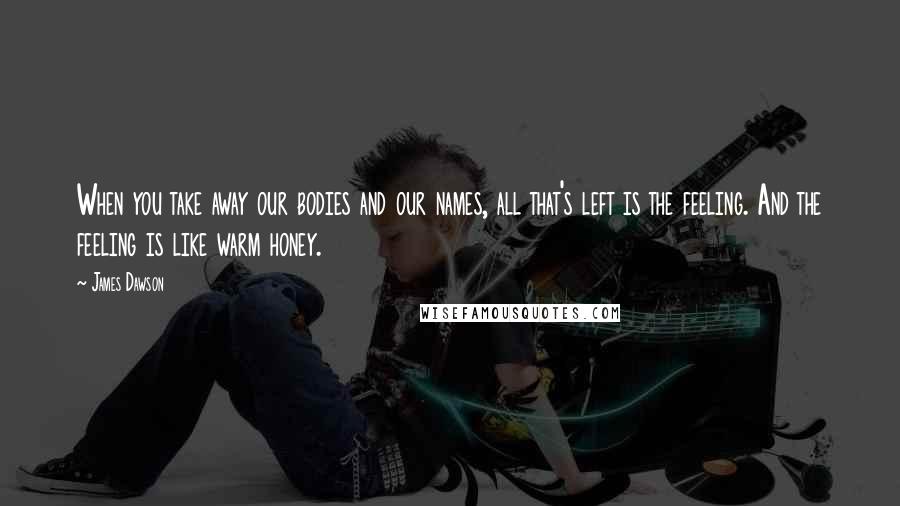 James Dawson Quotes: When you take away our bodies and our names, all that's left is the feeling. And the feeling is like warm honey.