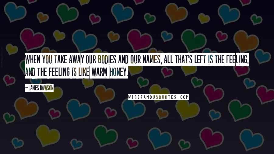 James Dawson Quotes: When you take away our bodies and our names, all that's left is the feeling. And the feeling is like warm honey.