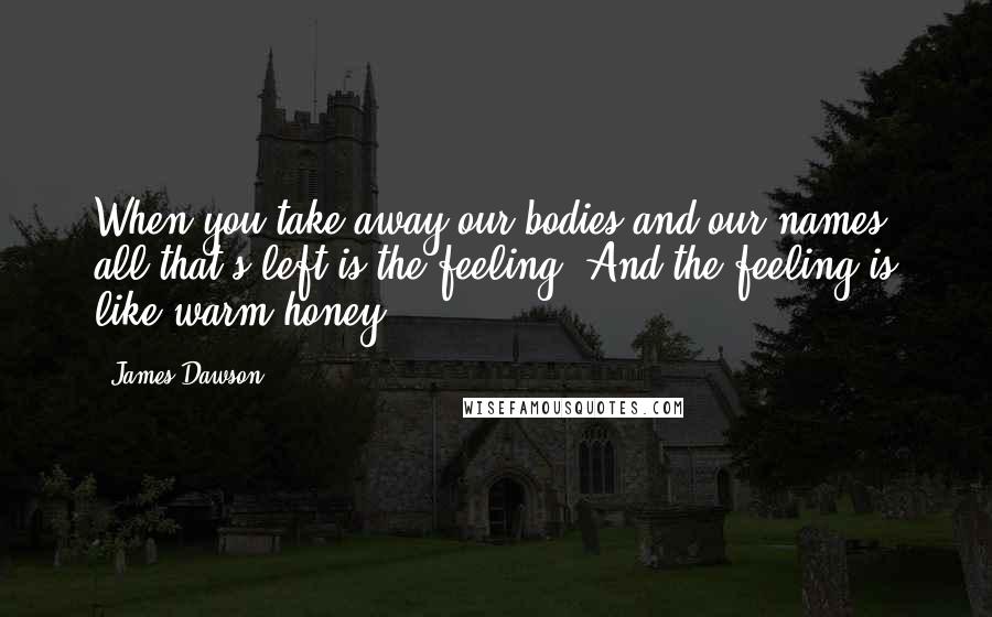 James Dawson Quotes: When you take away our bodies and our names, all that's left is the feeling. And the feeling is like warm honey.