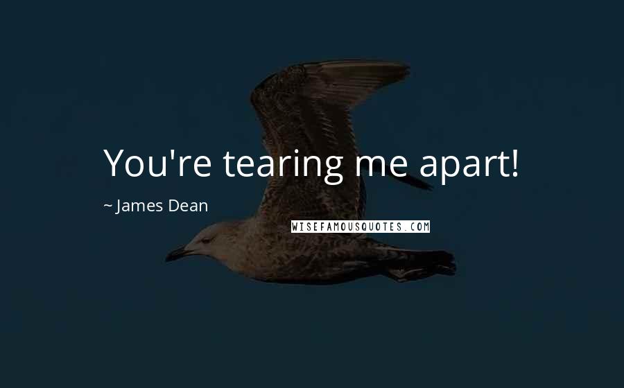 James Dean Quotes: You're tearing me apart!