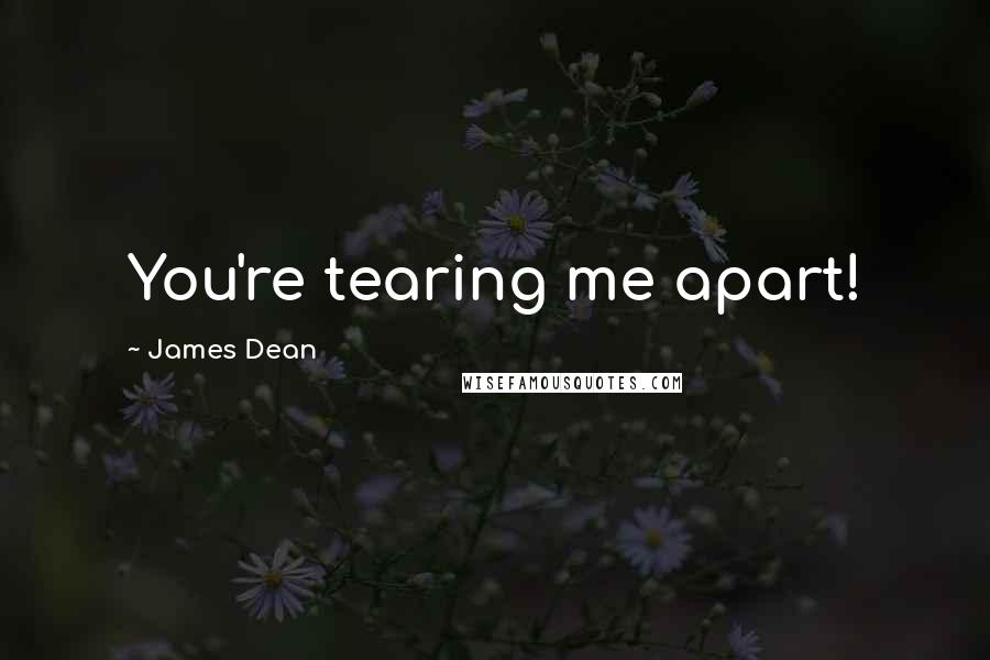 James Dean Quotes: You're tearing me apart!