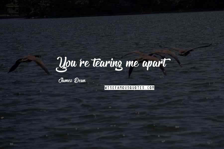 James Dean Quotes: You're tearing me apart!