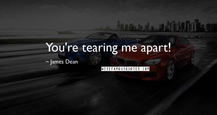 James Dean Quotes: You're tearing me apart!