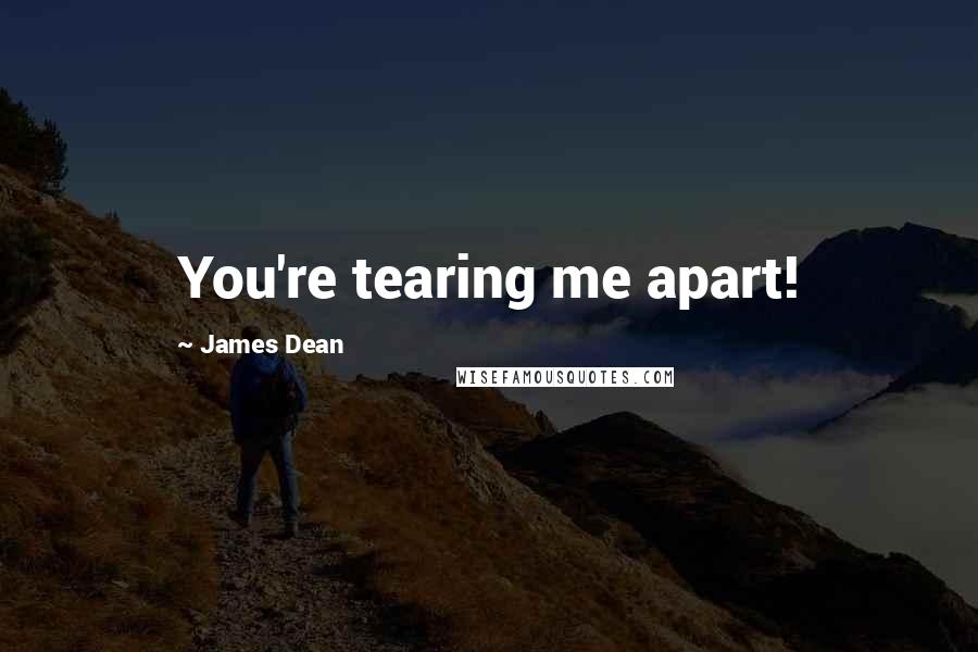 James Dean Quotes: You're tearing me apart!