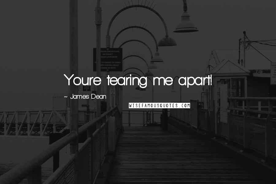 James Dean Quotes: You're tearing me apart!