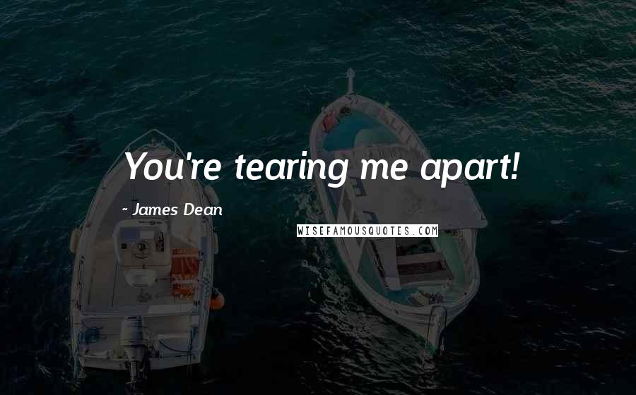 James Dean Quotes: You're tearing me apart!