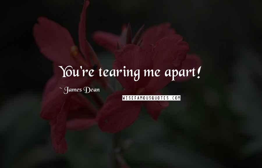 James Dean Quotes: You're tearing me apart!